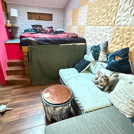 Sunnygardenhouse Apartment *
